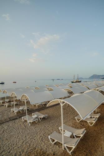 a bunch of chairs and umbrellas on a beach at Fun & Sun Club Saphire in Tekirova