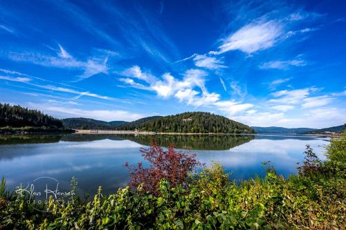 a view of a lake under a blue sky at Ferienwohnung "Domicil Schluchsee" in Schluchsee