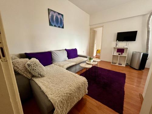 ein Wohnzimmer mit einem Sofa und einem TV in der Unterkunft apartman centar S in Pirot