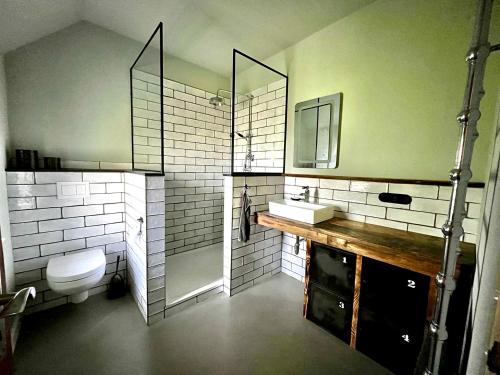 a bathroom with a toilet and a sink and a mirror at Elbkoje in Drage
