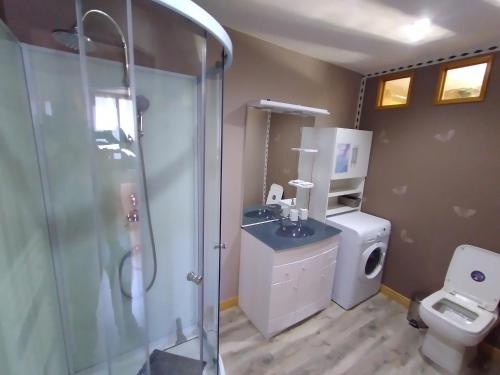 een badkamer met een douche, een wastafel en een toilet bij Ancienne grange réhabilitée, piscine et jardin in Faycelles