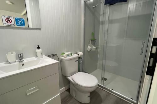 un bagno con doccia, WC e lavandino di Renovated Tiny House a San Bartolomé