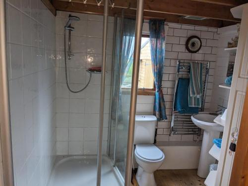 een badkamer met een toilet, een douche en een wastafel bij Captivating 1-Bed Log Cabin in Shrewsbury in Shrewsbury