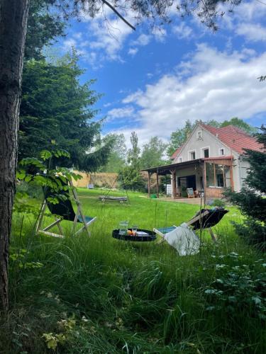 a yard with a house and a chair in the grass at Dziejba Izerska in Giebułtów