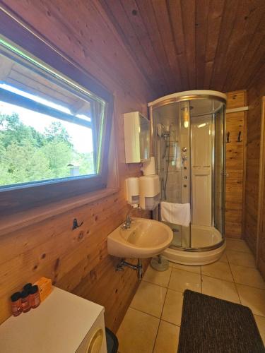 Phòng tắm tại Apartment Mrežnička kuća