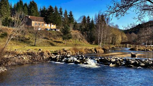 Gîte Maison Fougères droite Saint-Préjet d'Allier 14 personnes
