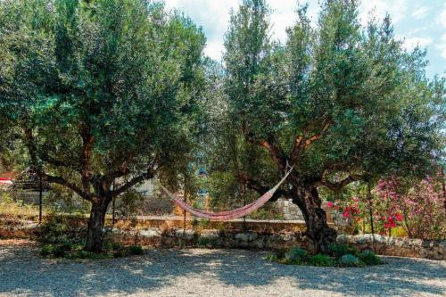 Imagen de la galería de Green Blue, en Kardhamili