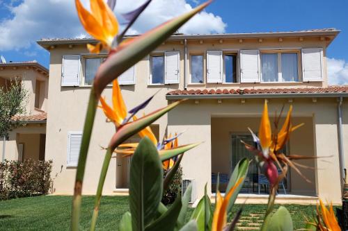 a house with orange flowers in front of it at Le Spiagge di San Teo in San Teodoro