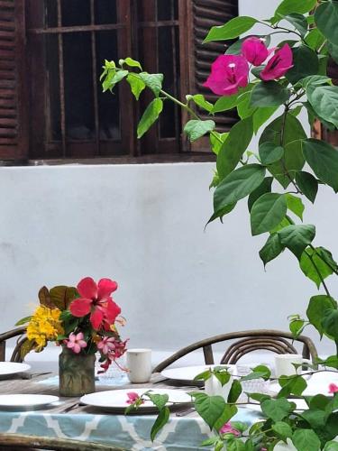 Κήπος έξω από το Villa Palma
