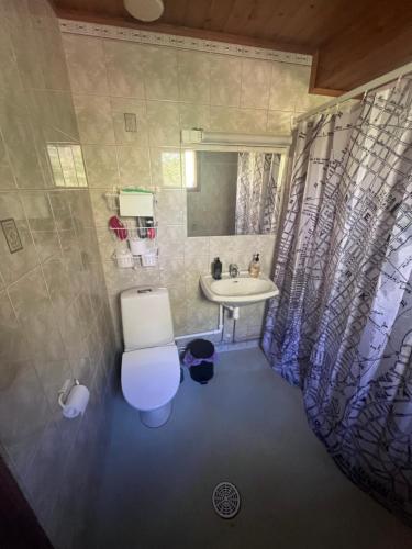 bagno con servizi igienici e lavandino di Villa Aronia a Porvoo