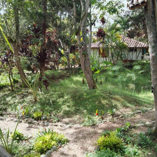 a garden with grass and trees and a house at Hotel La Casa de Francois in San Agustín