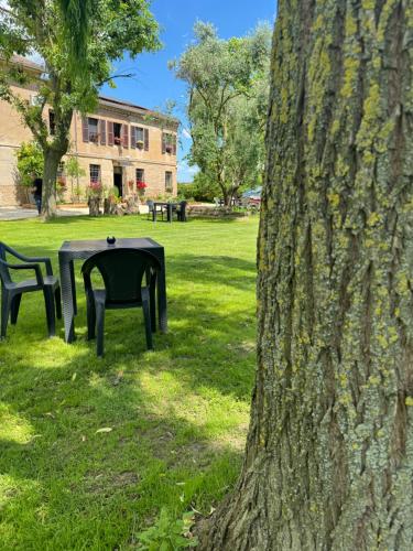 a table and chairs in a park next to a tree at Affittacamere Ca' de Mazapedar in San Lorenzo