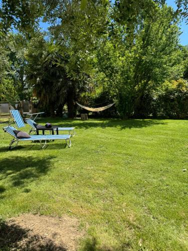 a hammock and a chair in a yard at Affittacamere Ca' de Mazapedar in San Lorenzo