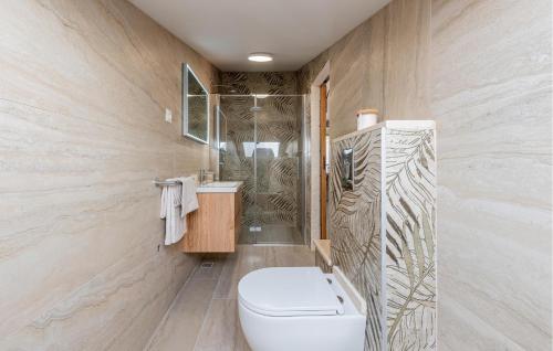 a bathroom with a toilet and a shower at Cozy Apartment In Povljana With Wifi in Povljana