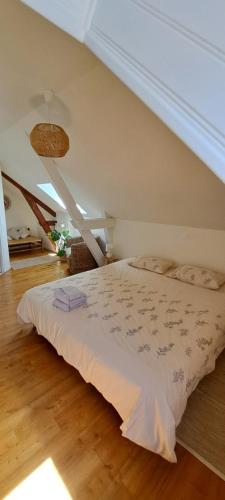 a bedroom with a large bed in a attic at Bains de Secours, Chambres d'hotes in Sévignacq-Meyracq