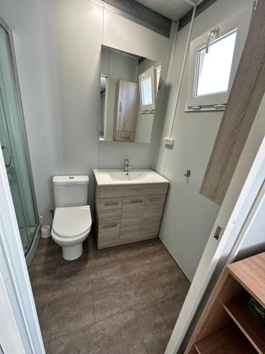 a bathroom with a toilet and a sink and a mirror at BUNGALOW INFANTA in Torrelaguna