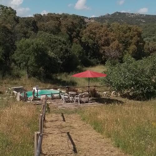 a picnic table with a red umbrella in a field at Eco Lodge nella natura Con Piscina privata "La Grande Quercia" in Calangianus