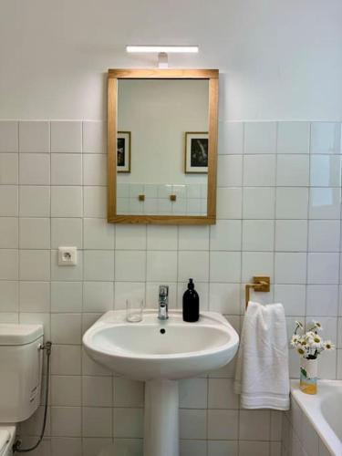 une salle de bain avec un lavabo et un miroir et des toilettes dans l'établissement Villa provençale avec vue mer, proche centre ville et plages., à Saint-Raphaël