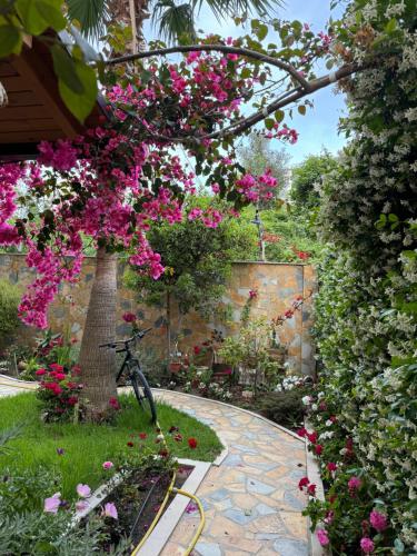 ヴロラにあるGuest Room Angolo Toscanoのピンクの花が咲く庭園に駐輪