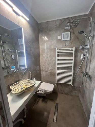 a bathroom with a shower and a toilet and a sink at Apartament cu gradina central in Iaşi