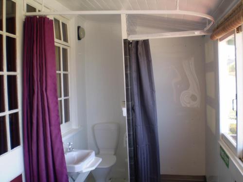 a bathroom with a toilet and a shower curtain at Federation House in Oamaru