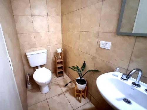 a bathroom with a toilet and a sink and a plant at Guesthouse Mendoza in Godoy Cruz