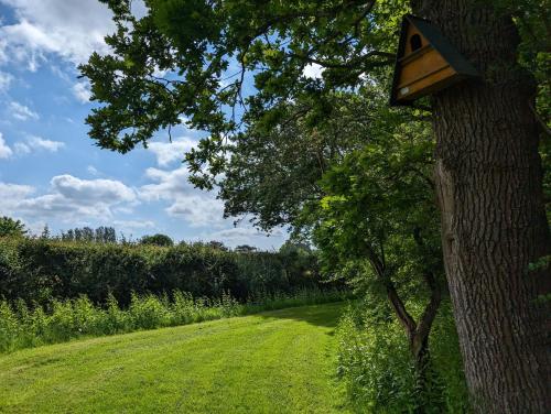 a tree with a bird house attached to it at The Stables , Birdham in Birdham