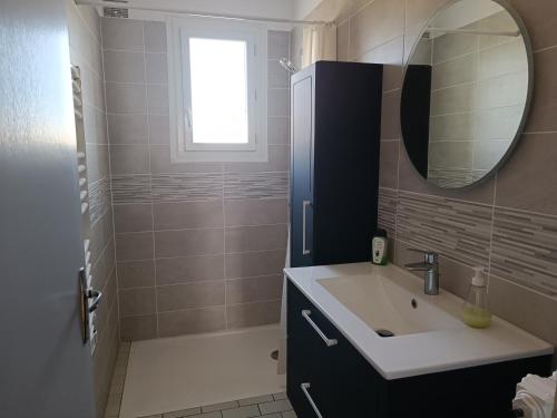 une salle de bain avec un lavabo, un miroir et une douche dans l'établissement Pleine nature, 10 min zoo Beauval Mareuil sur cher, à Mareuil-sur-Cher