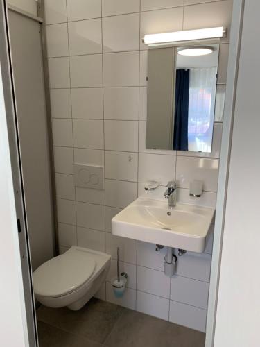 a bathroom with a sink and a toilet at Kleine drei Länderzentrale in Hohenems