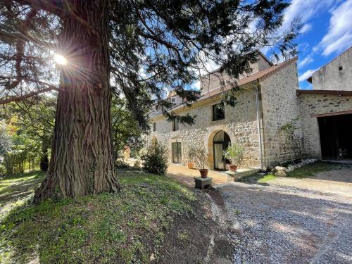 un grand arbre devant un bâtiment avec un arbre dans l'établissement Villa Firmin Galimard - Gite de luxe avec Piscine, à Vals-les-Bains