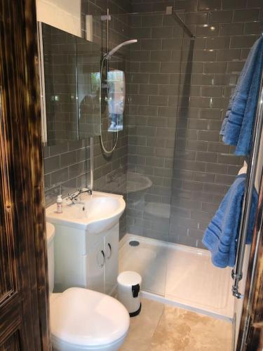 a bathroom with a toilet and a sink and a shower at The Blue Garden Flat in Belfast
