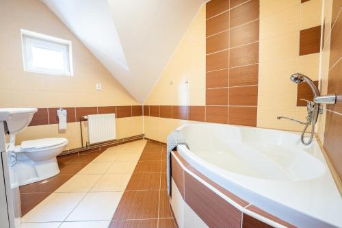 a bathroom with a toilet and a tub and a sink at Penzion u můstku Jiřího Rašky in Trojanovice