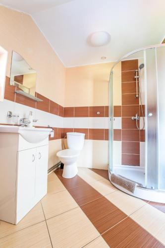 a bathroom with a toilet sink and a shower at Penzion u můstku Jiřího Rašky in Trojanovice