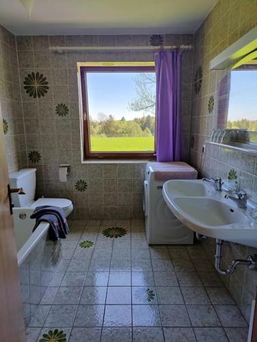 a bathroom with a sink and a toilet and a window at große Wohnung mit Dachterrasse in Saulgrub