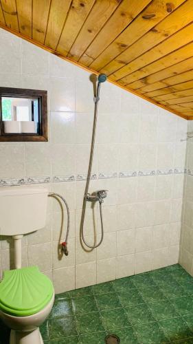a bathroom with a green toilet and a shower at Къща за гости Роза in Elena