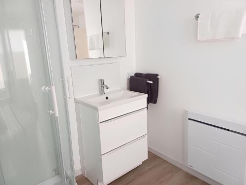 une salle de bain blanche avec un lavabo et un miroir dans l'établissement Jacobin-centre ville-paisible-2 couchages, à Amiens