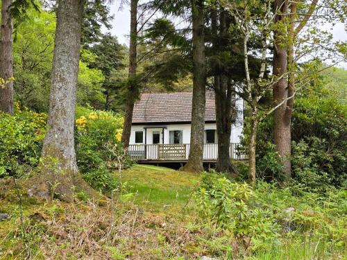 a white house in the middle of a forest at Ard Veich Estate - Panoramic Highland Sea Views with private beach and woodland in Port Appin