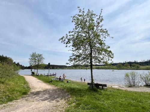 a group of people sitting on a beach near a lake at Holiday Home Zum munteren Eichhörnchen by Interhome in Dittishausen