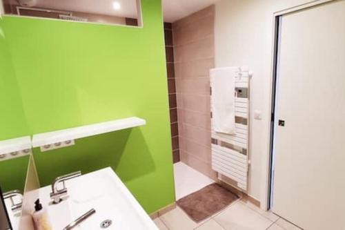 une salle de bain verte avec un lavabo et une douche dans l'établissement Appartement Duplex 3 chambres - La Blache des Collines, à Beausemblant
