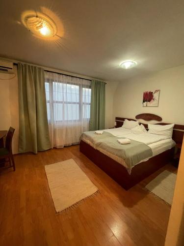 a bedroom with a bed and a large window at Conacul de pe Lac in Şagu