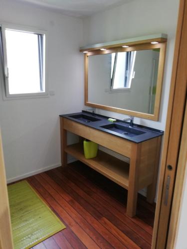 une salle de bain avec un lavabo et un miroir dans l'établissement coin de paradis 3 chambres, à Fouras