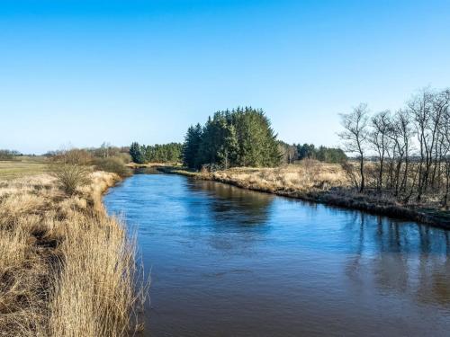 a view of a river with trees in the background at Apartment Evina - 17km to the inlet by Interhome in Skjern