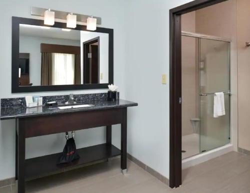 a bathroom with a sink and a mirror at Hampton Inn and Suites Port Aransas in Port Aransas