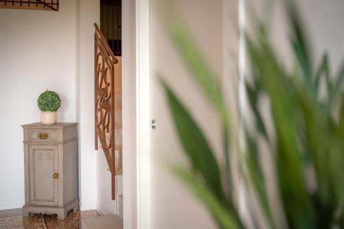 a hallway with a door and a table with a potted plant at Barchessa Cappelletto in Torre di Mosto