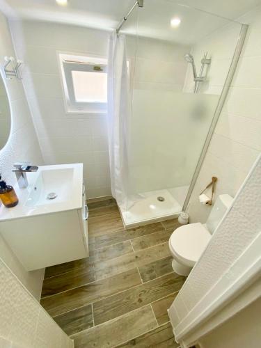 a bathroom with a toilet and a shower and a sink at Villa Heritage in Beausoleil