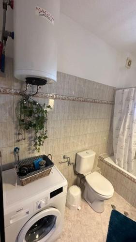 Proluxe Apartments