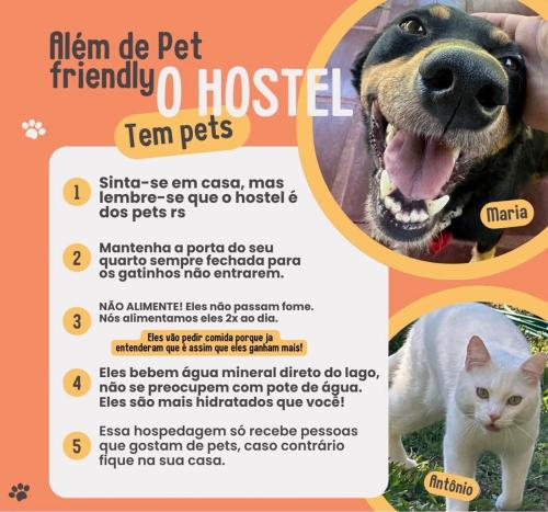 un volant pour un chien et un chat dans l'établissement Hostel 040, à Itaipava