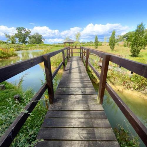 a wooden bridge over a river next to a body of water at Captivating 1-Bed Cabin in Newmarket in Newmarket
