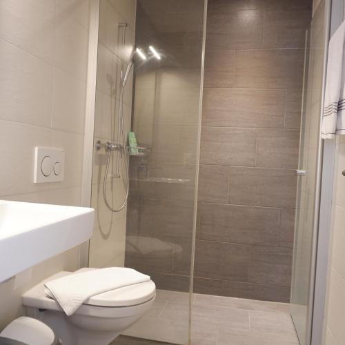 a bathroom with a toilet and a shower at The Golf apartments in Interlaken