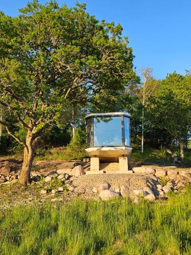 a glass box sitting on top of a pile of rocks at Forest Capsule in Uddevalla